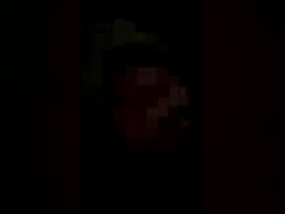 Most Recent Photo of 1609flamecock