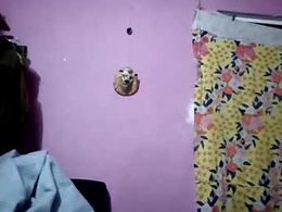 Most Recent Photo of 34tigresmx