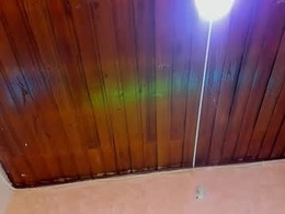 Most Recent Photo of akoradiamondcm101