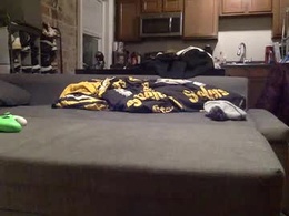 Most Recent Photo of allenhungfun