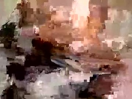 Most Recent Photo of allman617