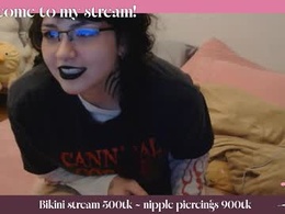 Most Recent Photo of alt_kitty_