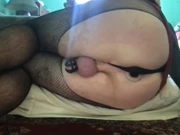 Most Recent Photo of analzilla