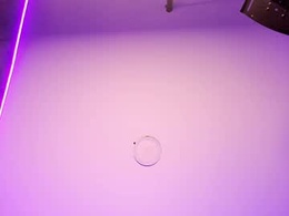 Most Recent Photo of angelobellini