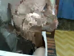 Most Recent Photo of aurarablaze