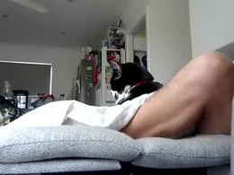 Most Recent Photo of aussie_ozzie