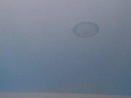 Most Recent Photo of babykathia_