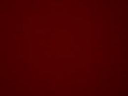 Most Recent Photo of barryallen2017