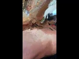 Most Recent Photo of bdbd919564