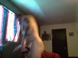 Most Recent Photo of bedelllw