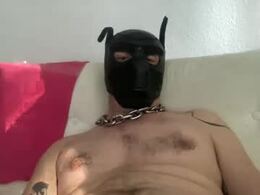 Most Recent Photo of berlin_pup