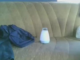 Most Recent Photo of bidoc74