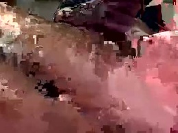 Most Recent Photo of bigwhitecockdoc6969