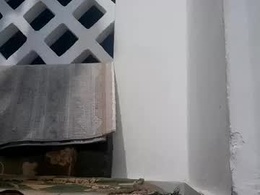 Most Recent Photo of blackhanter69