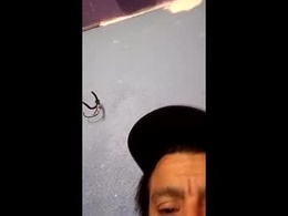 Most Recent Photo of blue17562