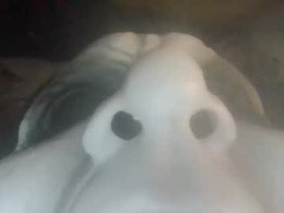 Most Recent Photo of bmpowel1
