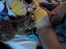 Most Recent Photo of bobkitty