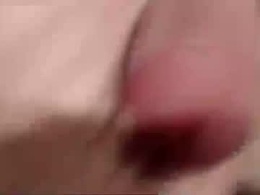 Most Recent Photo of bobswan