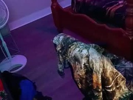 Most Recent Photo of brendanparrishx