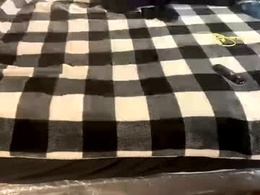 Most Recent Photo of brownbootie1