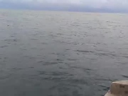 Most Recent Photo of cam12b1