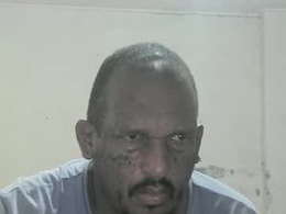 Most Recent Photo of carimojama