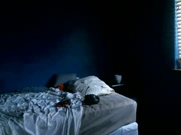 Most Recent Photo of carter21vr