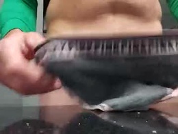 Most Recent Photo of cdlisaann