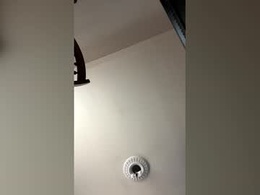 Most Recent Photo of chico_amante_