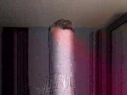 Most Recent Photo of chrisw8121