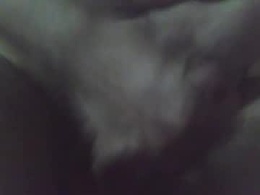 Most Recent Photo of cobra1092