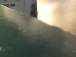 Most Recent Photo of command224