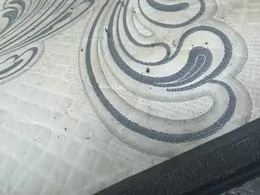 Most Recent Photo of conball811