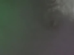 Most Recent Photo of cucariano