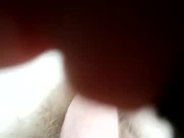 Most Recent Photo of cunnemammaru