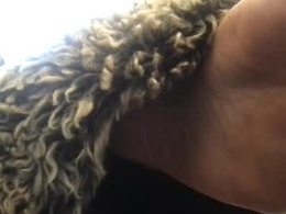 Most Recent Photo of daddydivinedanielle