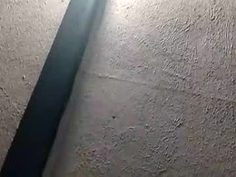 Most Recent Photo of daddymike008