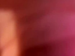 Most Recent Photo of dbistar