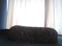 Most Recent Photo of deb_7