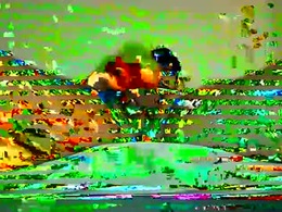 Most Recent Photo of dedeich39