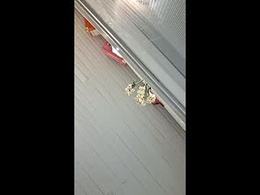 Most Recent Photo of derekato