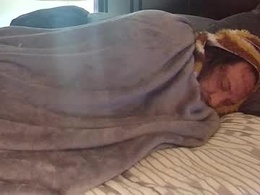 Most Recent Photo of desertfoxohio