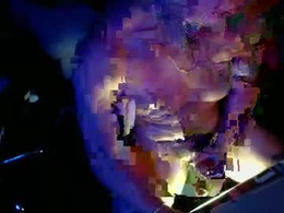 Most Recent Photo of digital_alogl