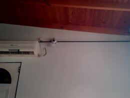 Most Recent Photo of discretopasivo