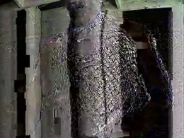 Most Recent Photo of djceasar