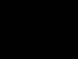 Most Recent Photo of donomex