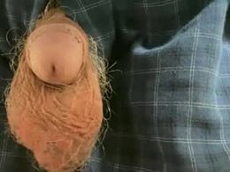 Most Recent Photo of dotstir