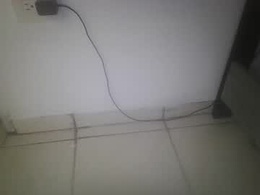 Most Recent Photo of elcangri6982