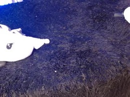 Most Recent Photo of electra_doll_xx