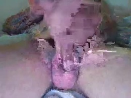 Most Recent Photo of elephant_titus